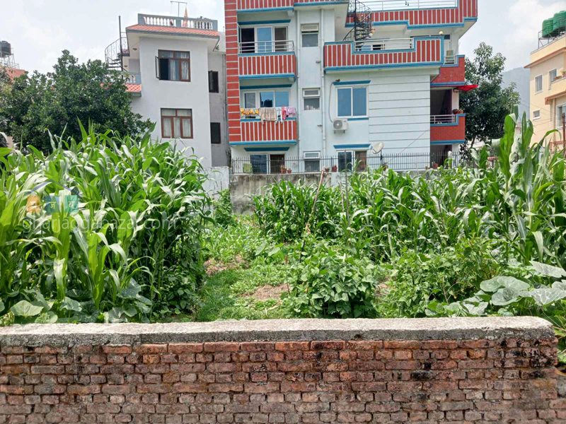 Land on Sale at Chapali Bhadrabasti